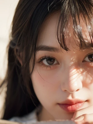 剪纸艺术与清风两袖：传统与清廉的交响曲